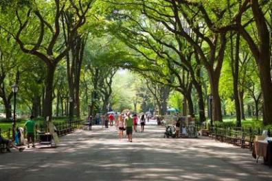 park